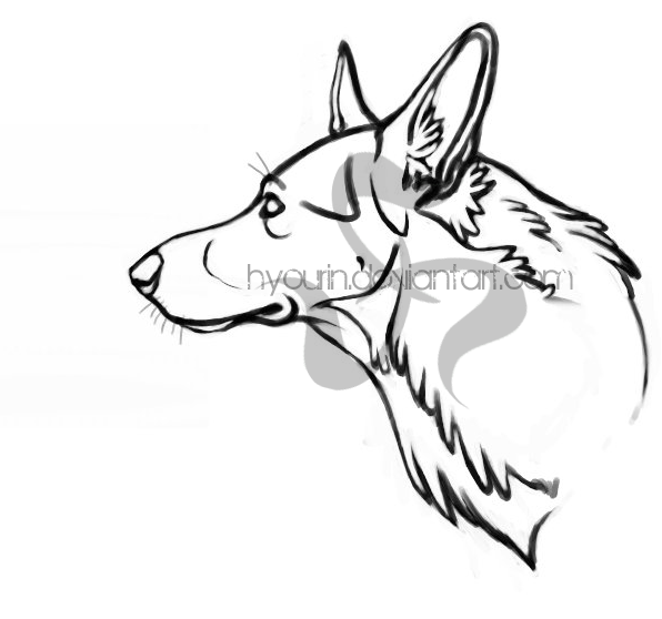 596x558 German Shepherd Lineart By Hyourin
