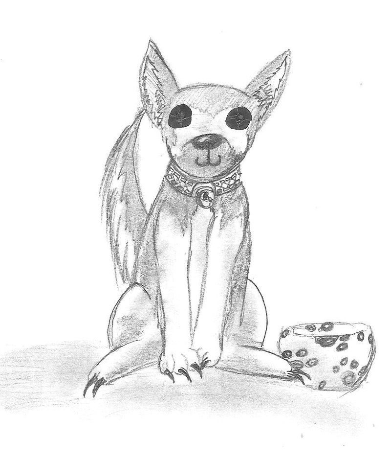 800x944 German Shepherd By Taiya001