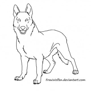 320x320 Tag For How Top Draw To German Shepard Dog Kids Paws Abilities