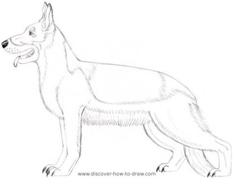 474x363 German Shepherd Dog Coloring Page Printable Instant By Loveloki