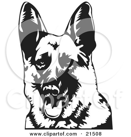 450x470 German Shepherd Clipart Draw