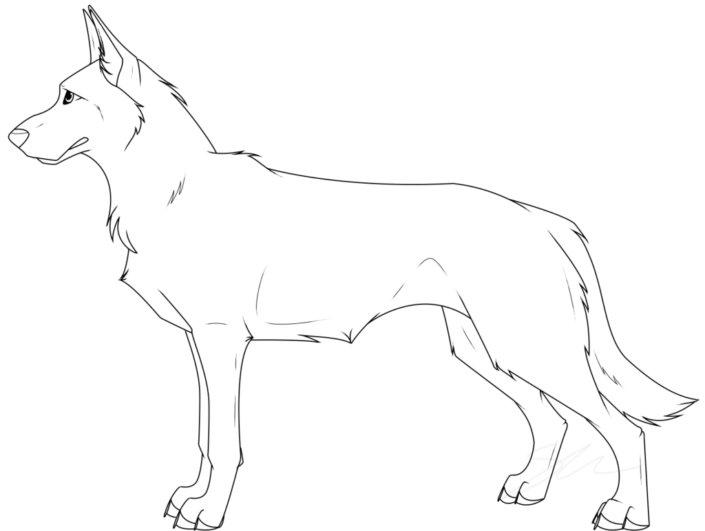 1024x772 New German Shepherd Lineart