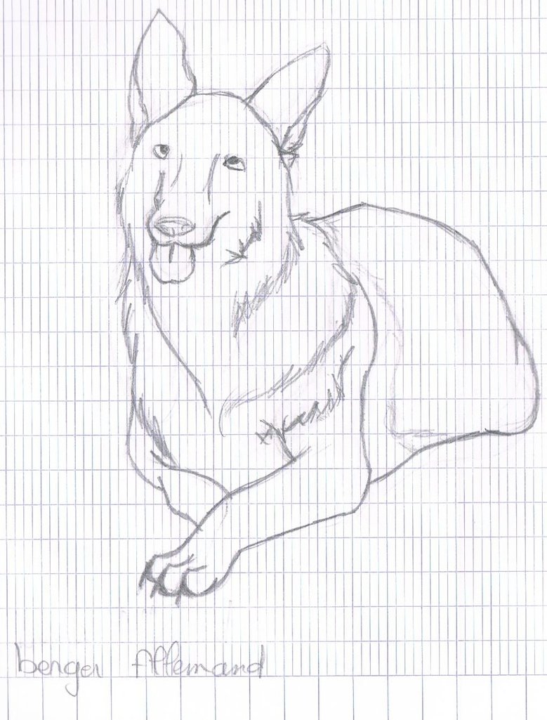 779x1025 Sketch. German Shepherd 2 By Licorneor