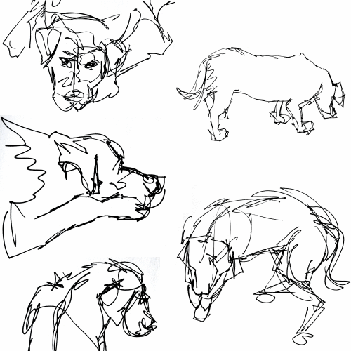 500x500 How To Draw Animals Using The Gesture Drawing Technique