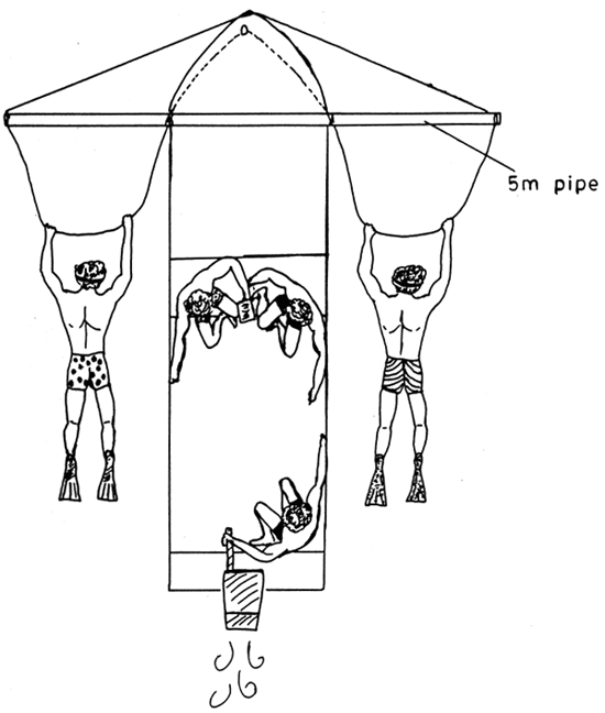 550x648 A Giant Clam Stock Survey And Preliminary Investigation Of Pearl