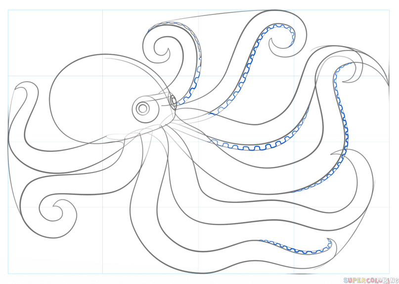 807x575 How To Draw An Octopus Step By Step Drawing Tutorials