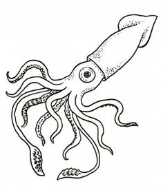 236x273 Coloring Pages Of Giant Squid Coloring Pages Giant