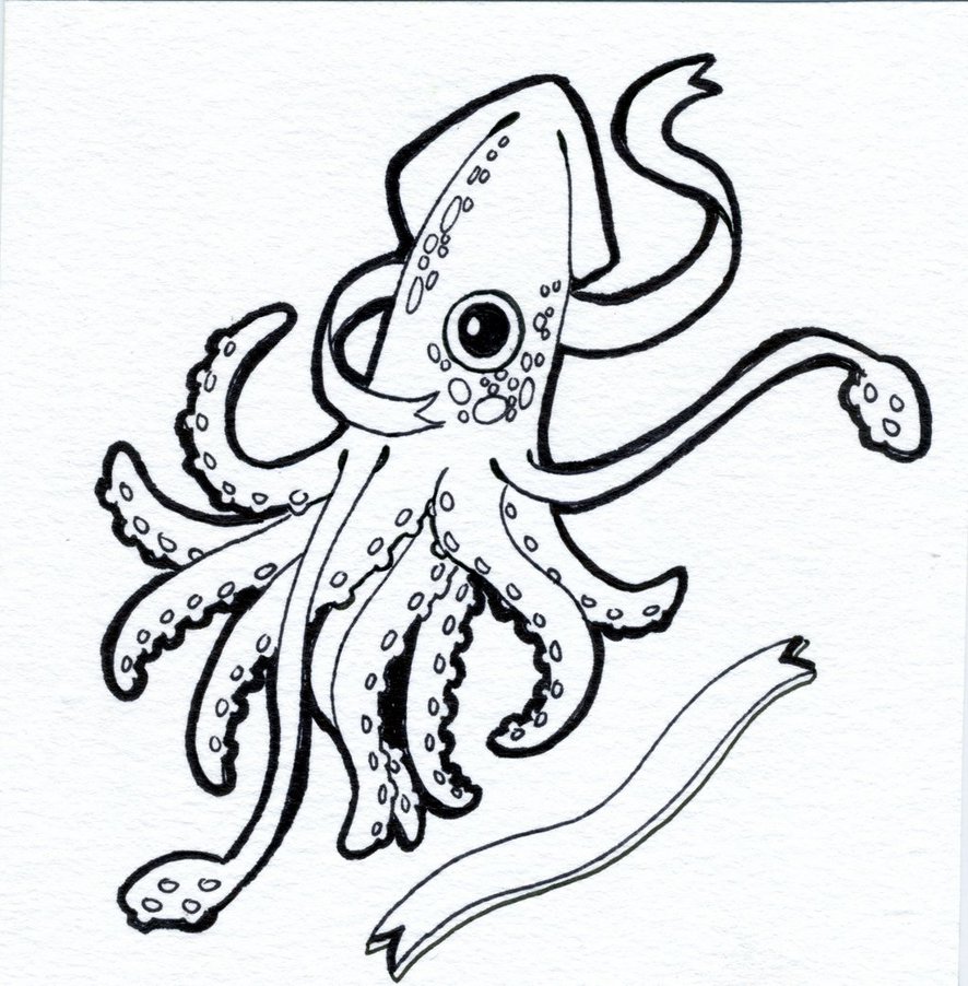 886x902 Giant Squid Coloring Page