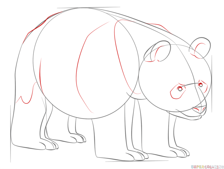 761x575 How To Draw A Giant Panda Step By Step. Drawing Tutorials For Kids