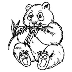 230x230 Top 25 Free Printable Cute Panda Bear Coloring Pages Online