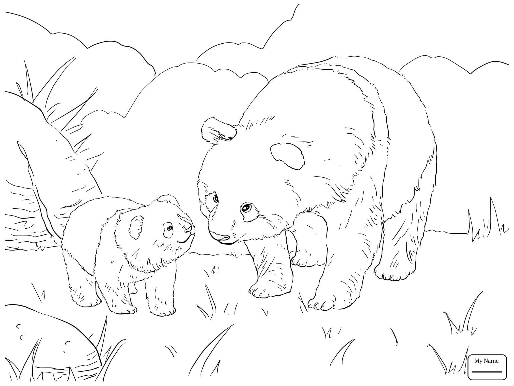 2089x1567 Coloring Pages Giant Panda Giant Panda Bear Mammals