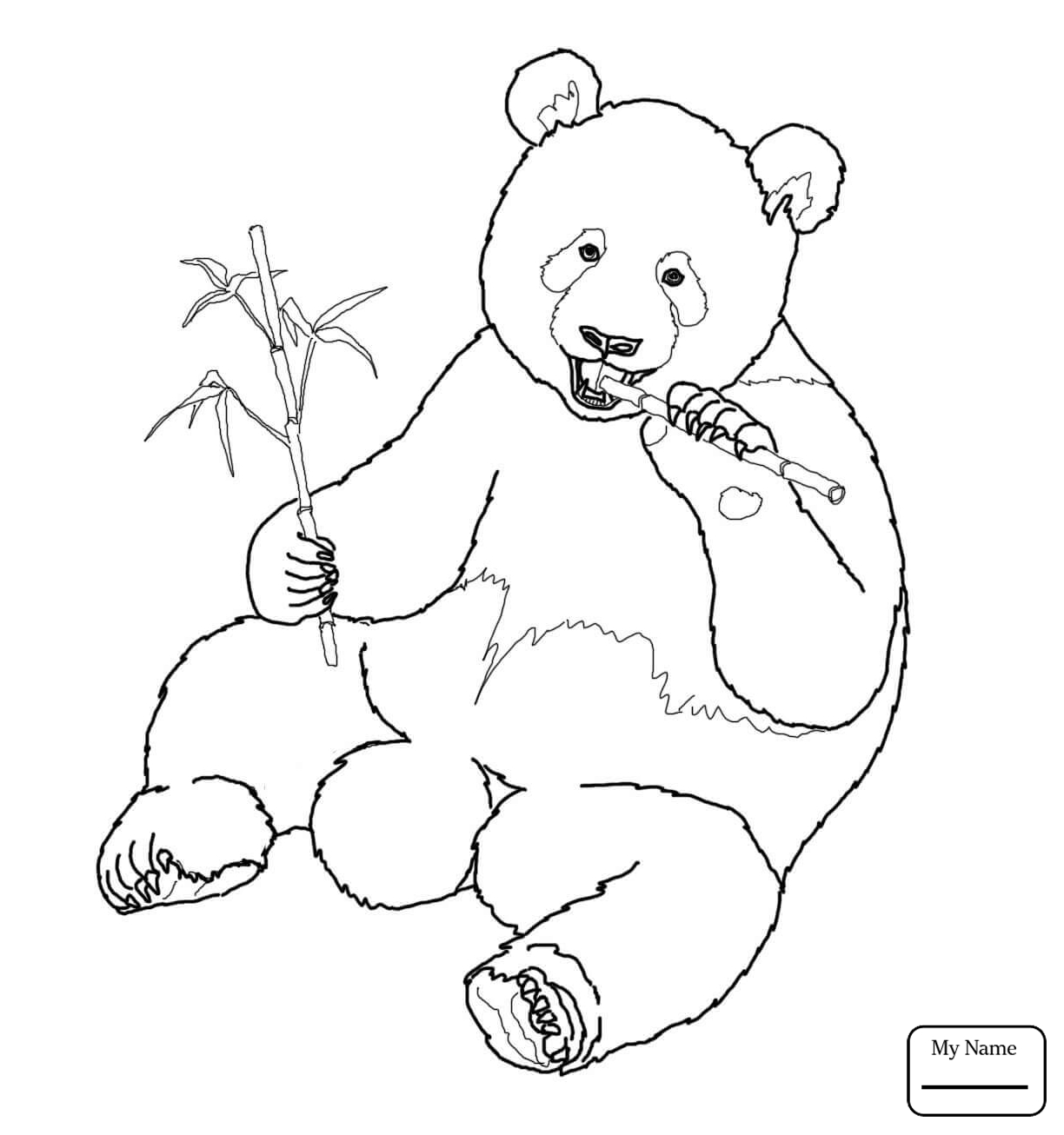 1224x1306 Mammals Giant Panda Giant Panda Coloring Pages For Kids