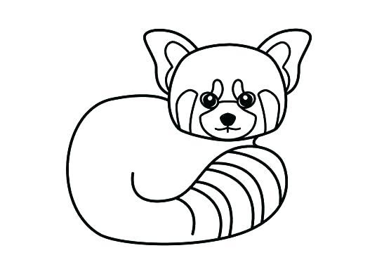 537x390 Elegant Giant Panda Coloring Page For Fresh Panda Coloring Page