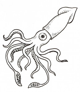 259x300 Giant Squid Color Page Coloring Pages Giant Squid