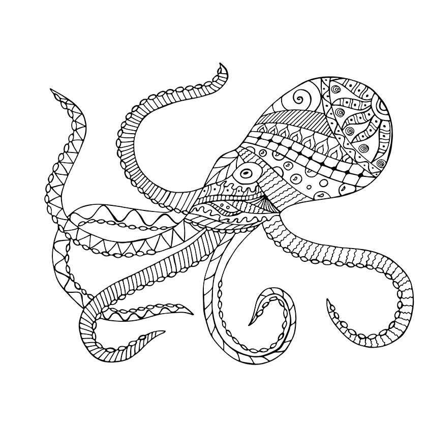 842x842 Giant Squid Free Coloring Page Adults, Animals Coloring Pages