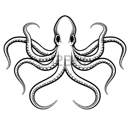 450x420 8,901 Squid Stock Illustrations, Cliparts And Royalty Free Squid