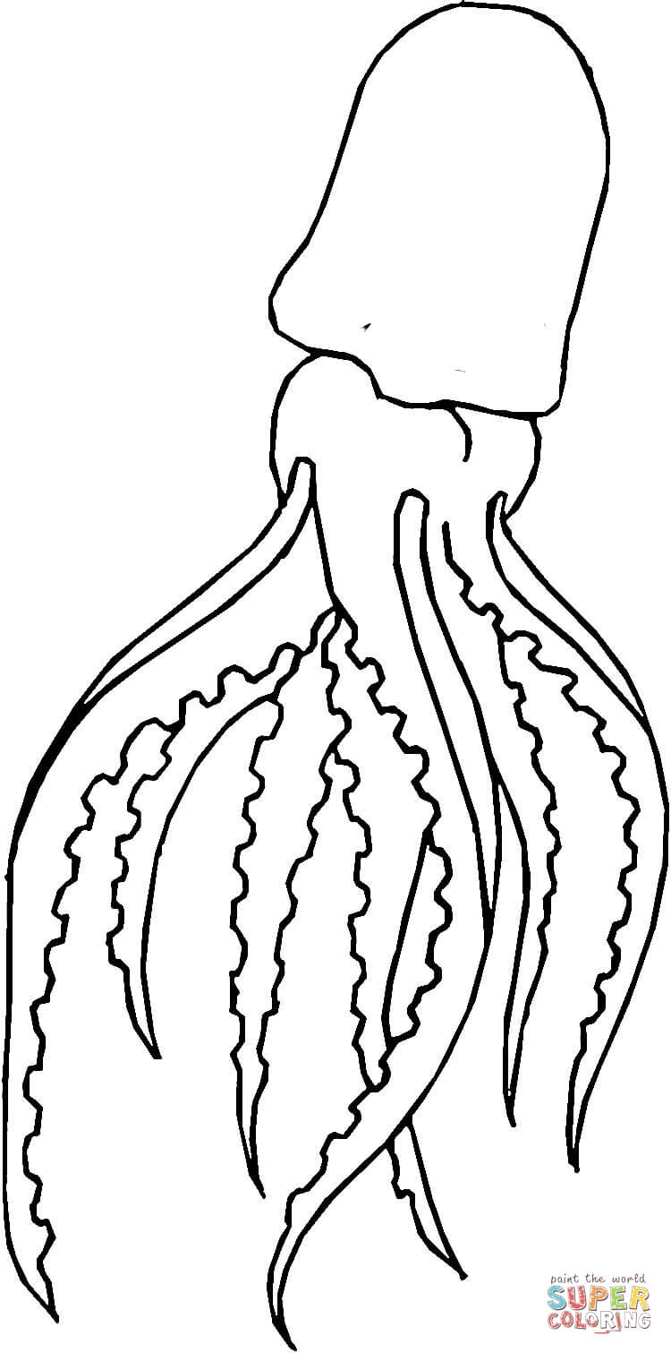 750x1511 Giant Squid Coloring Page Free Printable Coloring Pages