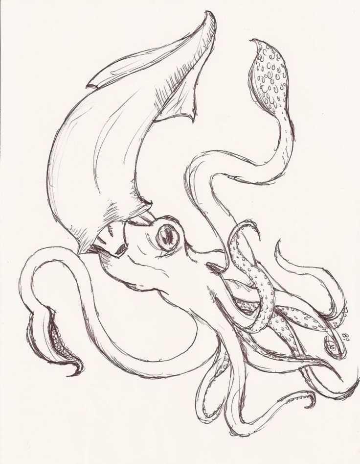 736x947 Pin By Nicole Roland On Giant Squid, Octopus, Ship