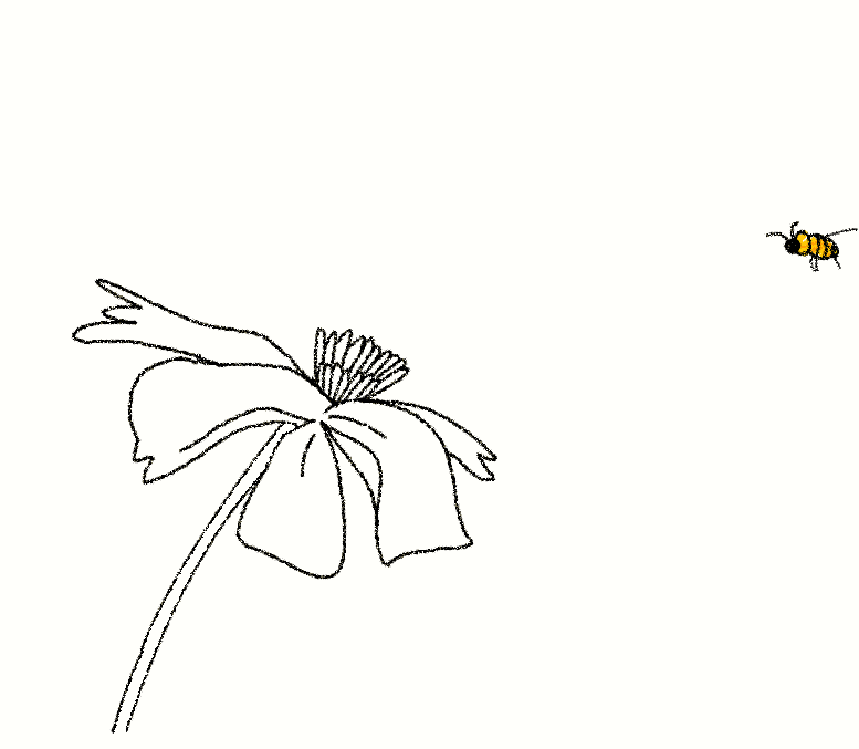 777x677 Yali Herbet Portfolio Gif'S