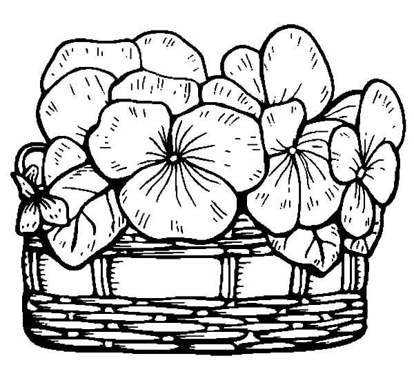 600x558 Flower Basket Coloring Pages Page Image Clipart Images