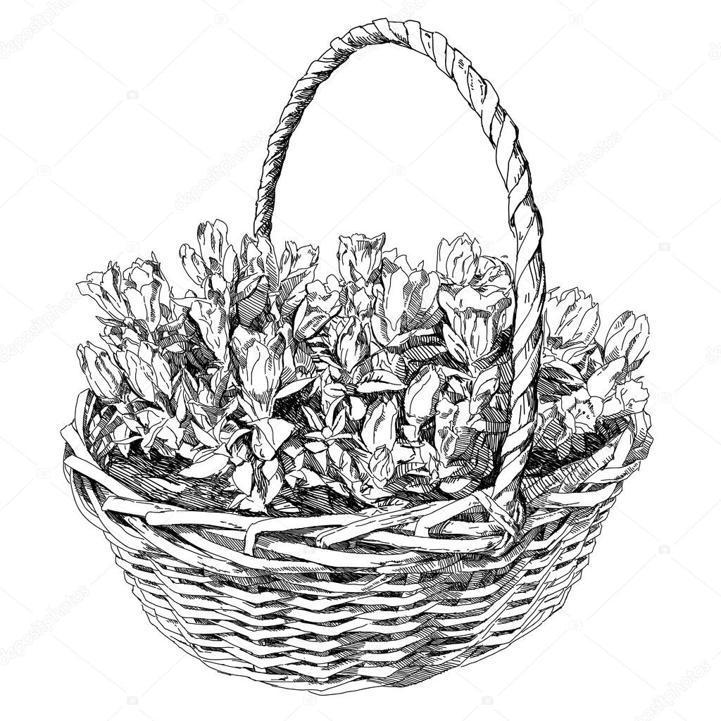 1024x1024 Beauty Hand Drawn Basket Of Flowers Stock Vector