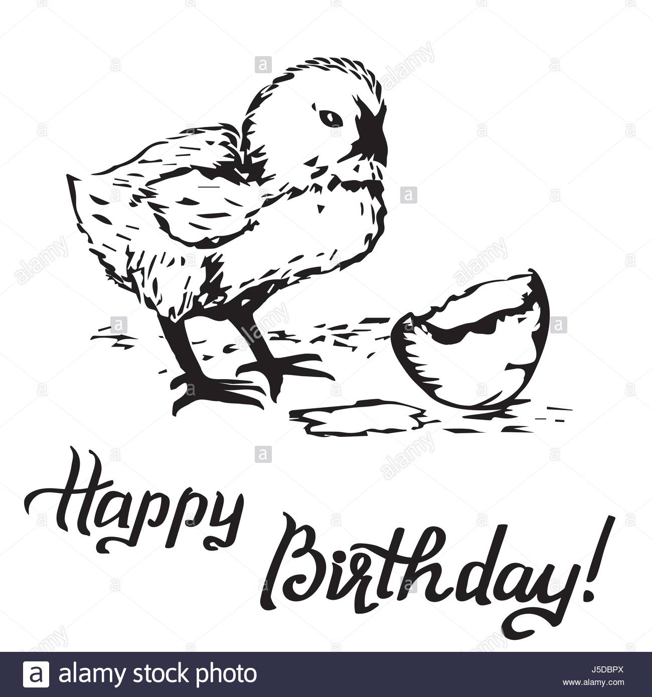 1300x1390 Happy Birthday Gift Card, Chick Peeking Out Of Eggs Stock Vector