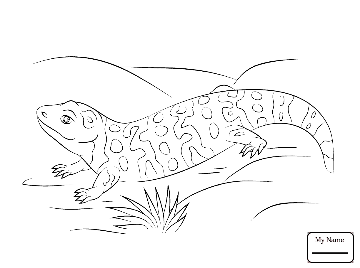 1224x913 Cute Gila Monster Reptiles Coloring Pages