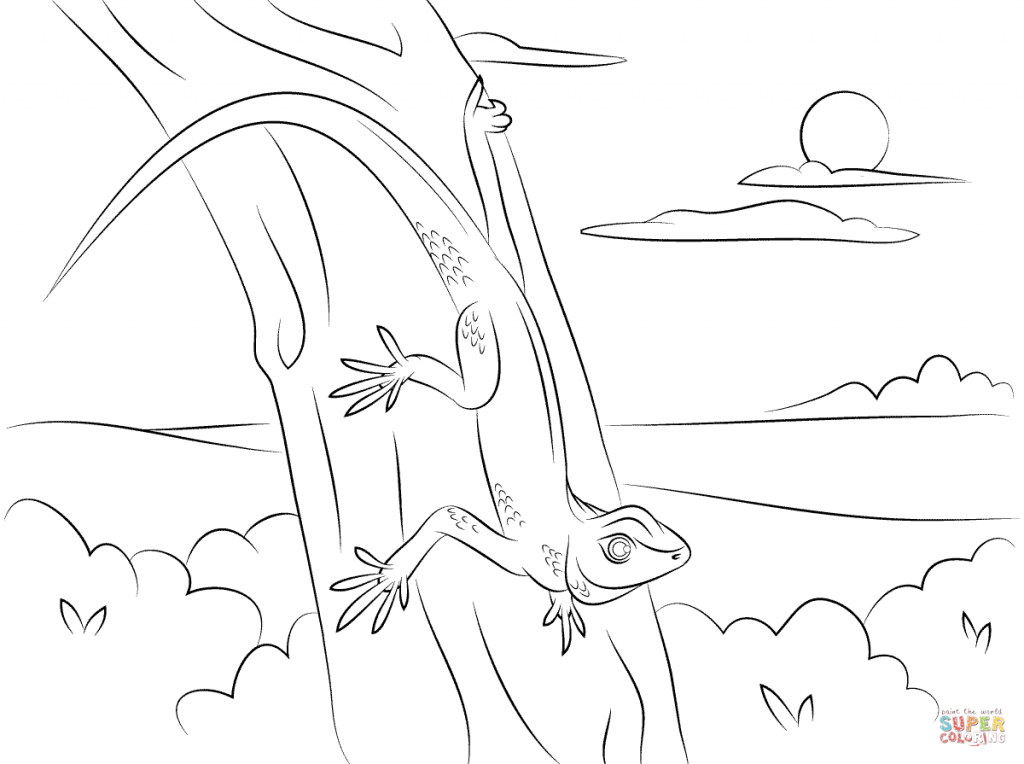 1024x764 Gecko Tree Download Coloring Pages