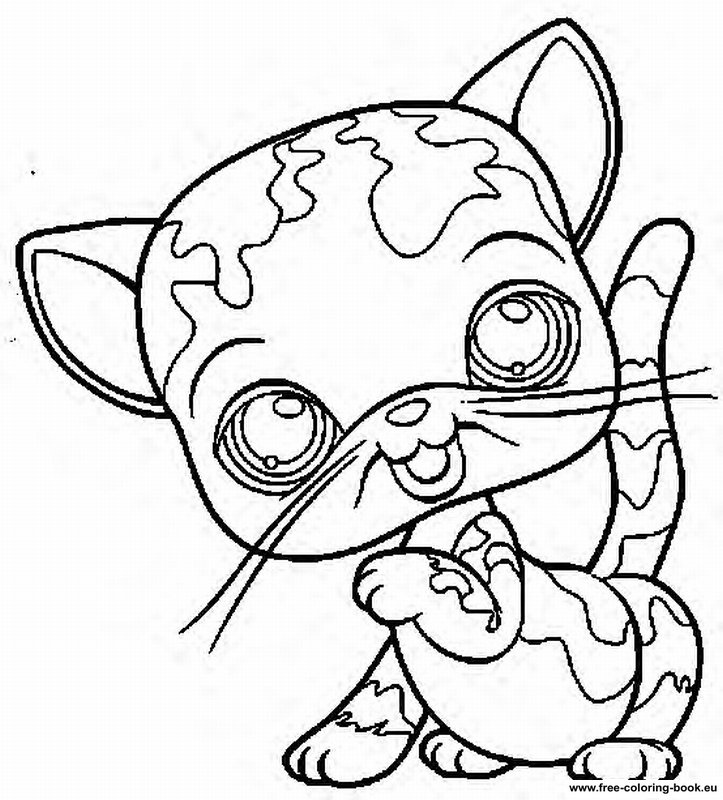 723x800 Gila Monster Coloring Page 451005