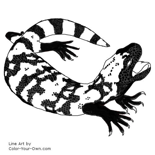 500x500 Gila Monster Coloring Page