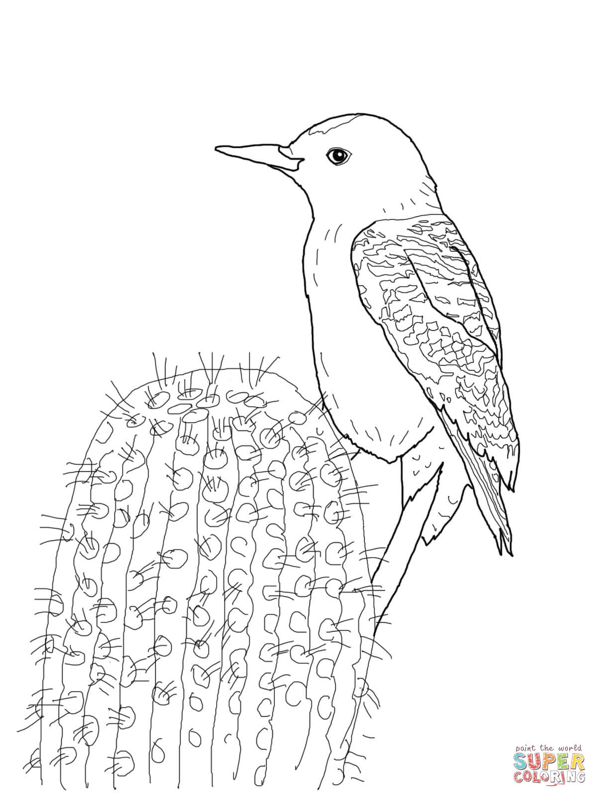 1200x1600 Gila Woodpecker Coloring Page Free Printable Coloring Pages