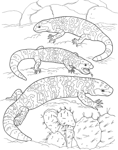 379x480 Gila Monster Coloring Page Coloring Page For Kids