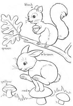 236x341 Coati Animal Coloring Pages Desert Animals Coloring Pages Gila