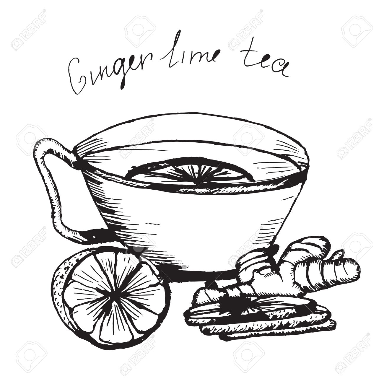 1300x1300 Hand Draw Vector Sketch. Illustration Cup Of Tea With Lime