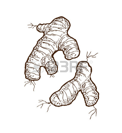 412x450 Sketchy Ginger Illustration Royalty Free Cliparts, Vectors,