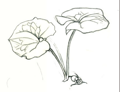 400x308 The Artist's Brain Watercolor Wild Ginger Composition