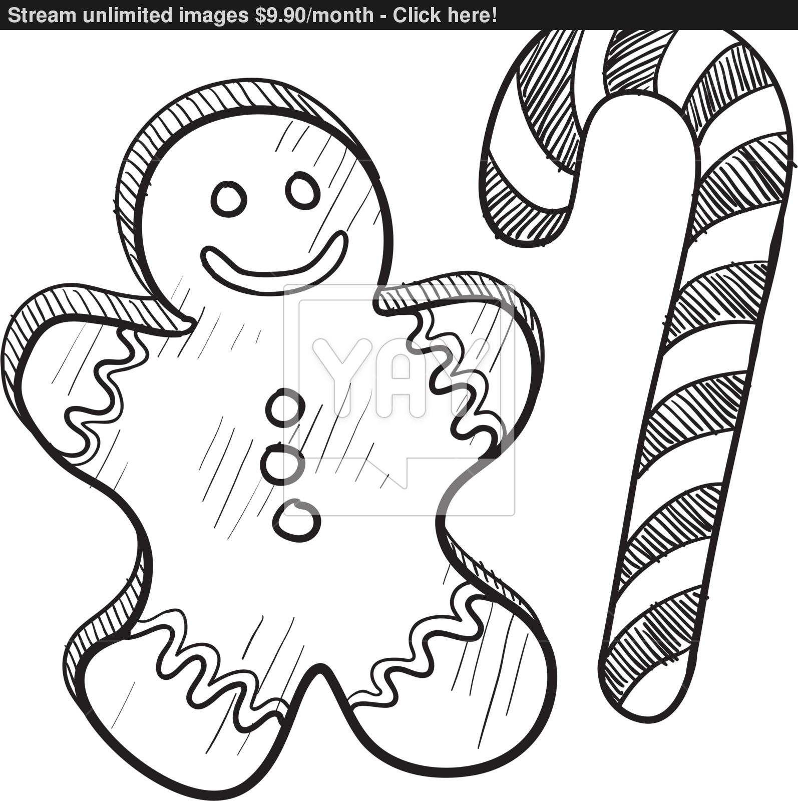 1594x1600 Christmas Gingerbread Man And Candy Cane Sketch Vector