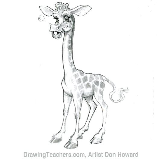 550x531 Giraffe Drawing Cartoon Giraffe 6 Baby Giraffe Cartoon Drawing Affan