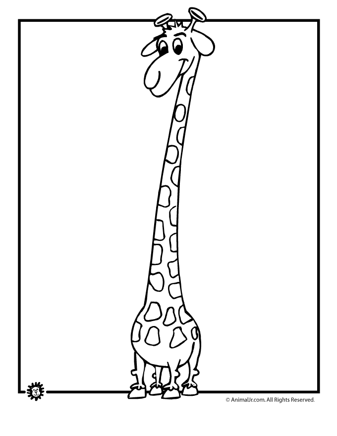 680x880 Giraffe Drawing Coloring Page Animal Jr.