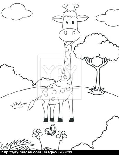 395x512 Giraffe Cartoon Vector