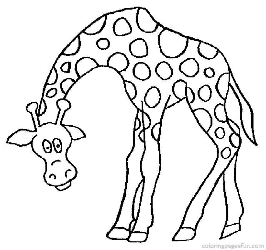852x800 Giraffe Clipart Cartoon Coloring