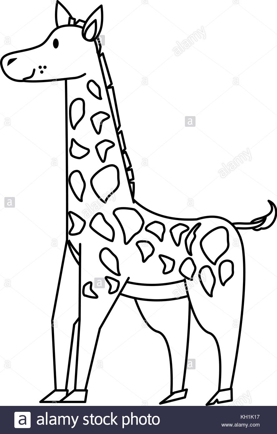 887x1390 Cartoon Giraffe Black And White Stock Photos Amp Images