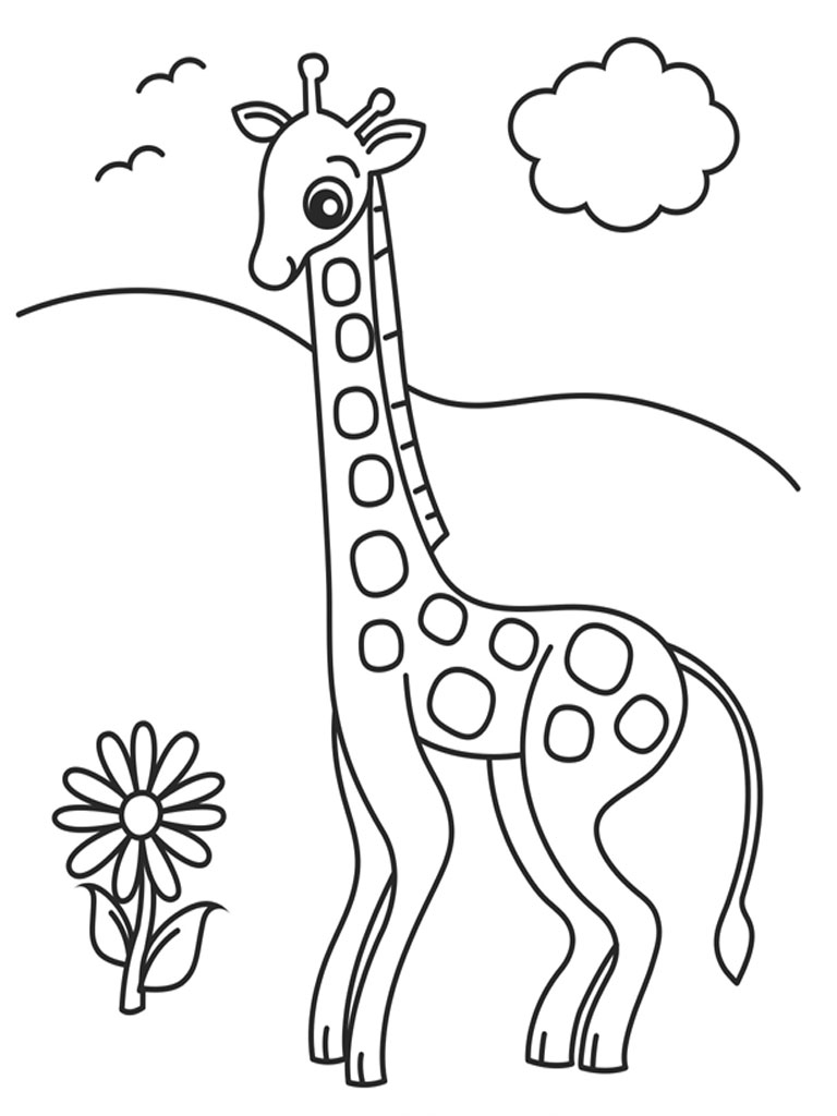 768x1024 Giraffe