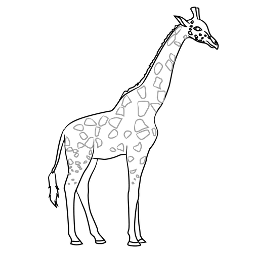 500x500 Giraffe Animals How To Draw