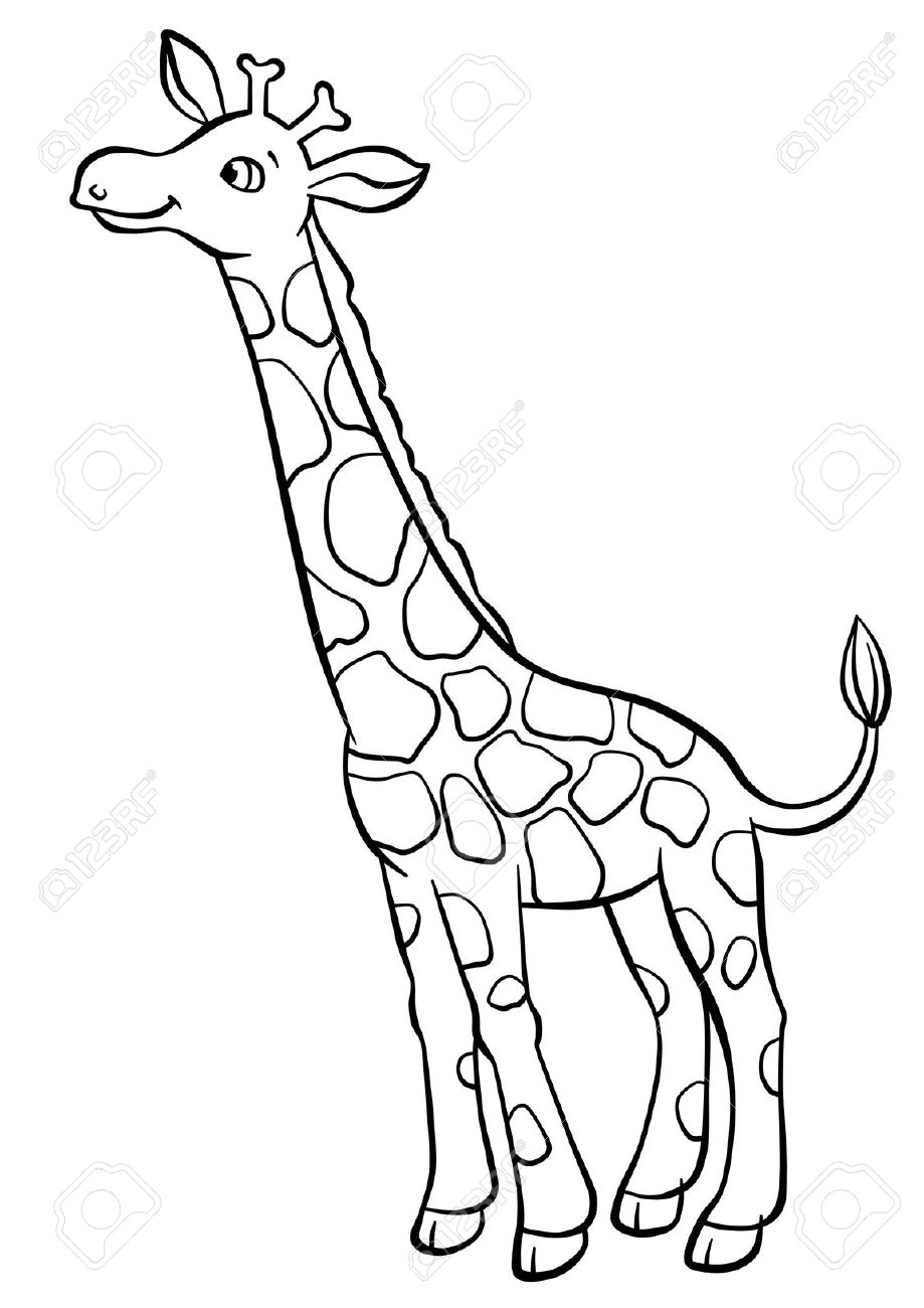 919x1300 Cute Giraffe Drawing