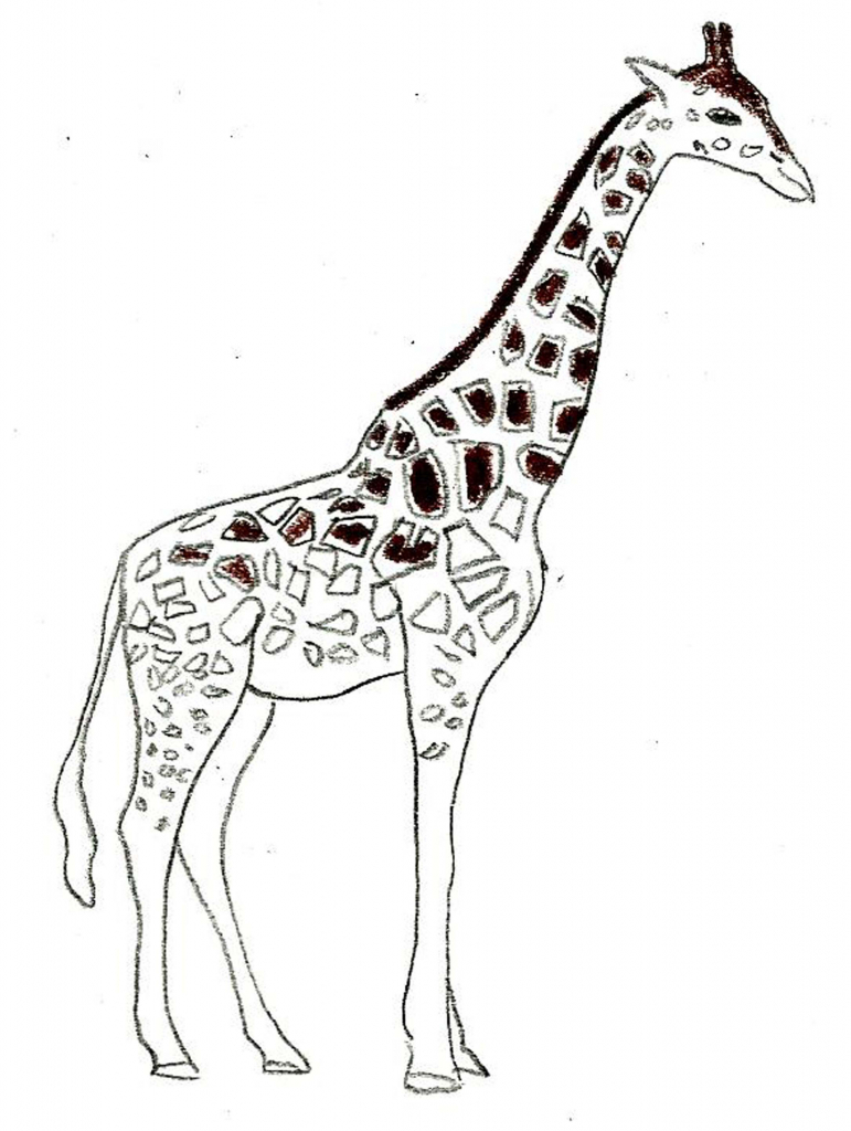 771x1024 Drawing Of A Giraffe How To Draw A Giraffe Draw Central Throughout