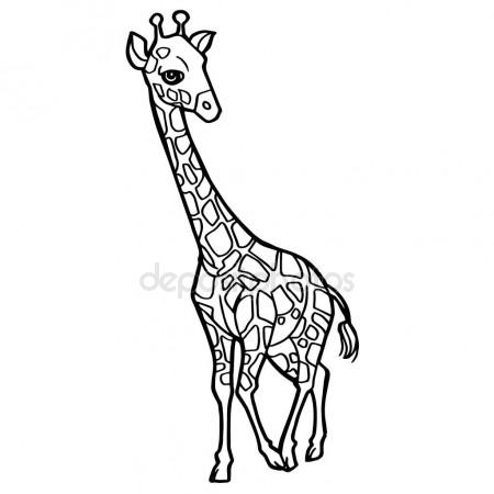 450x450 Coloring Book Giraffe African Savannah Animal Stock Vector