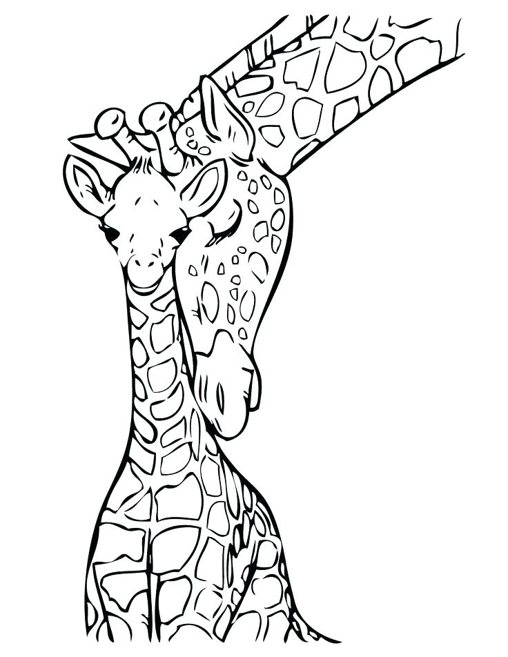736x952 Cute Giraffe Coloring Pages