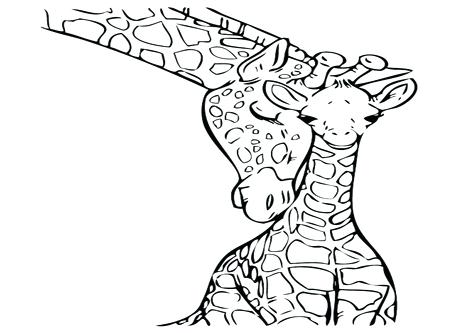 476x333 Baby Giraffe Coloring Pages In Addition To Giraffe Coloring Page