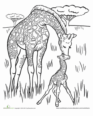 301x378 How To Draw A Giraffe Worksheet